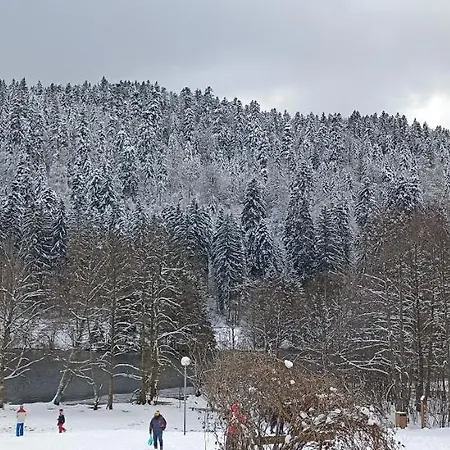 A 2 Pas Du Lac Apartment Xonrupt-Longemer