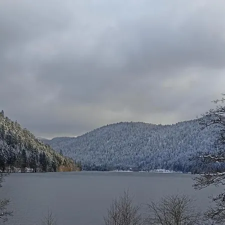 Apartment A 2 Pas Du Lac *