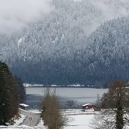 Apartment A 2 Pas Du Lac Xonrupt-Longemer