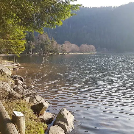 Apartment A 2 Pas Du Lac *