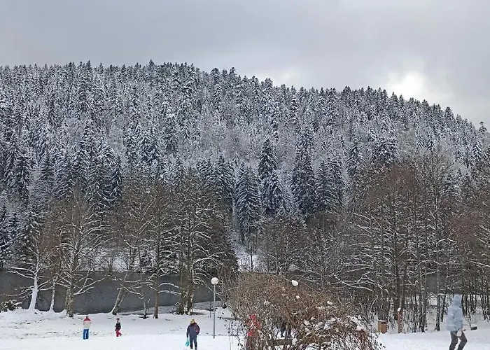 A 2 Pas Du 아파트 종루프 롱지메르