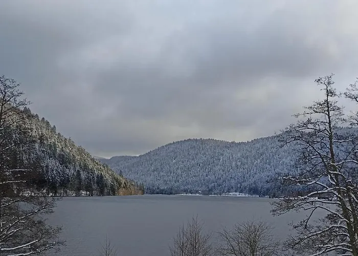 아파트 A 2 Pas Du *