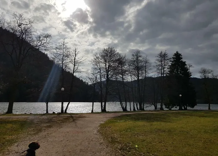 A 2 Pas Du 아파트 *